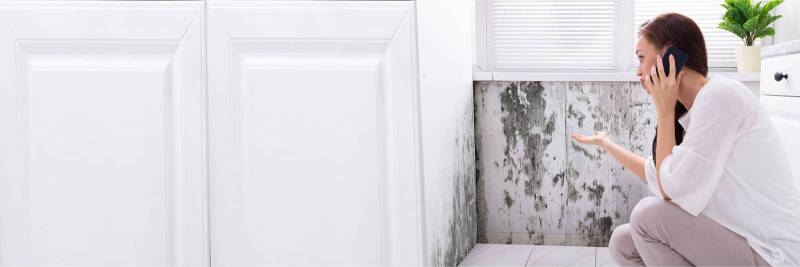 Solutions et conseils pour réduire l’humidité dans votre logement à Cenon