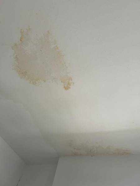 Détection de fuite suite sinistre sur le plafond 