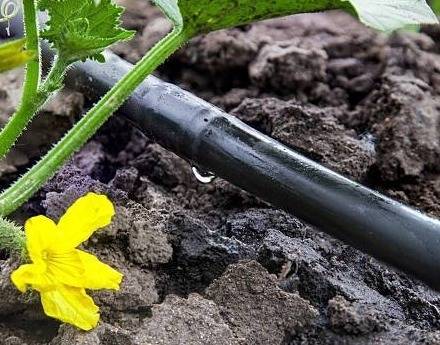 Détection de fuites dans vos canalisations enterrées ou encastrées à Bordeaux 